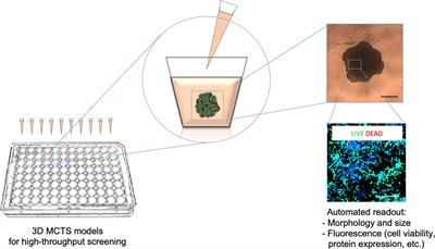 Emerging Neuroblastoma 3D In Vitro Models for Pre-Clinical Assessments